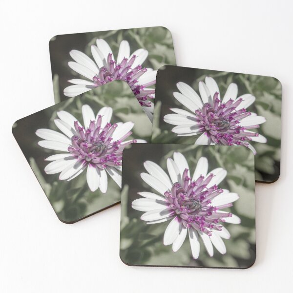 Item preview, River Daisy 2 designed and sold by Jacquiamber.
