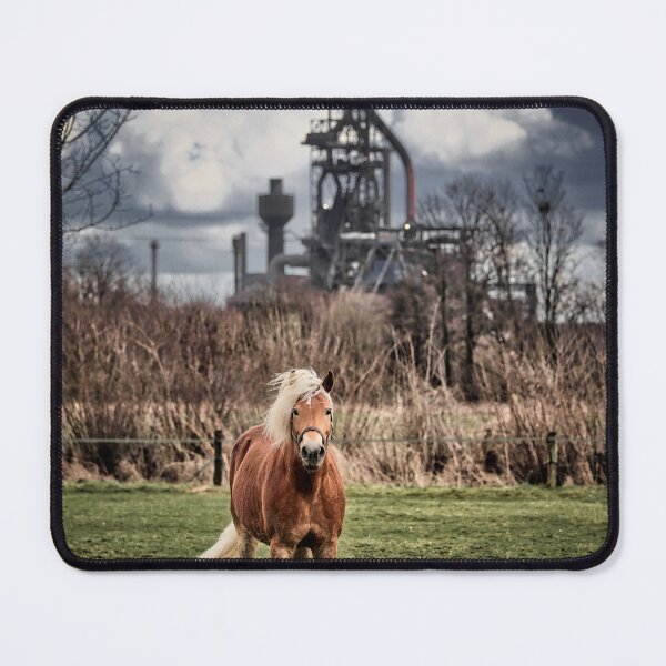 Item preview, Horse in the pasture, in the background a blast furnace, Ruhrgebiet - Ruhrpott - Germany designed and sold by Ruhrpottpicture.