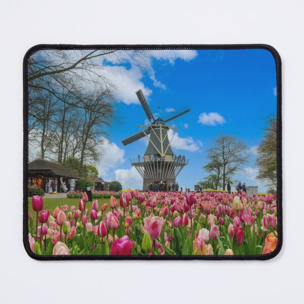 Item preview, Netherland tulips and windmill designed and sold by pietrofoto.