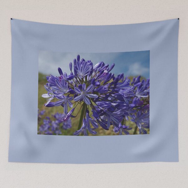 Item preview, Agapanthus In Dorset UK designed and sold by lezvee.