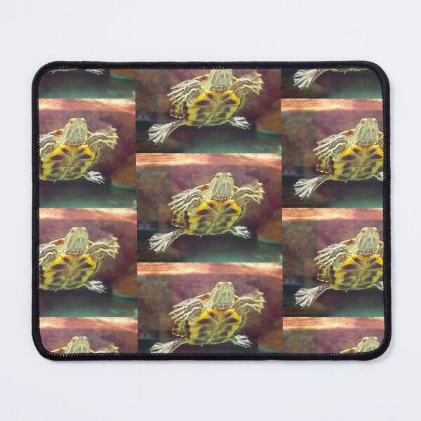 Item preview, Mr Turtle is Tired designed and sold by Adasha Knight.