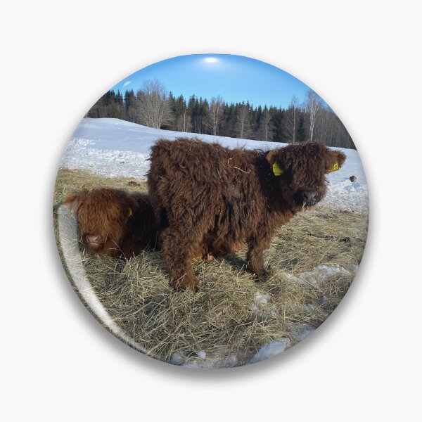 Artikelvorschau, Scottish Highland Cattle Calves 4368 entworfen und verkauft von SaarelaHighland.