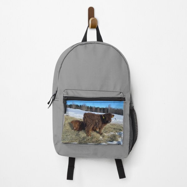 Item preview, Scottish Highland Cattle Calves 4368 designed and sold by SaarelaHighland.