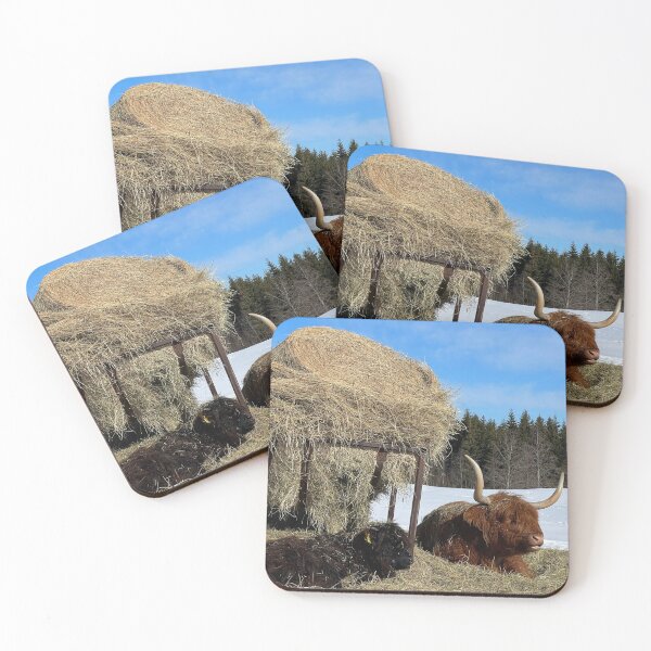 Artikelvorschau, Scottish Highland Cattle Cow and calf 4369 entworfen und verkauft von SaarelaHighland.