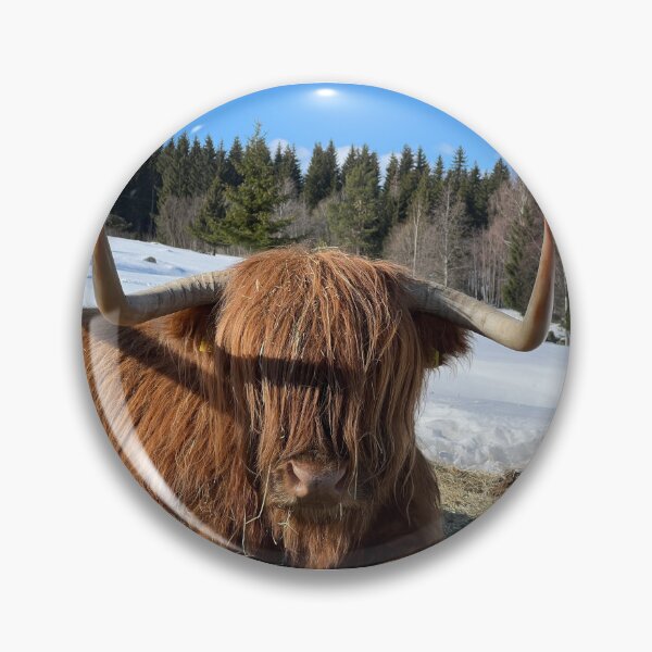 Artikelvorschau, Scottish Highland Cattle Cow 4370 entworfen und verkauft von SaarelaHighland.