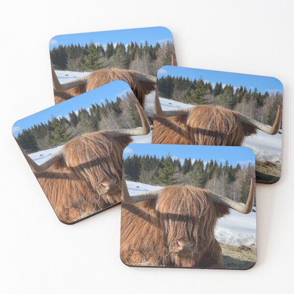 Item preview, Scottish Highland Cattle Cow 4370 designed and sold by SaarelaHighland.