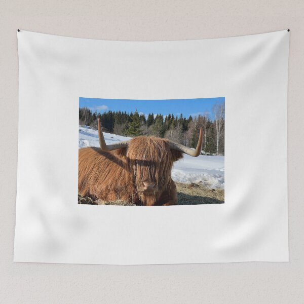 Item preview, Scottish Highland Cattle Cow 4370 designed and sold by SaarelaHighland.