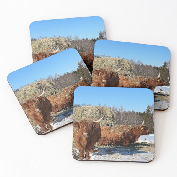 Artikelvorschau, Scottish Highland Cattle Cows 4372 entworfen und verkauft von SaarelaHighland.
