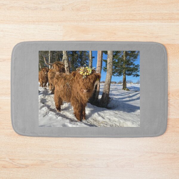 Item preview, Scottish Highland Cattle Calf Easter 4375 designed and sold by SaarelaHighland.
