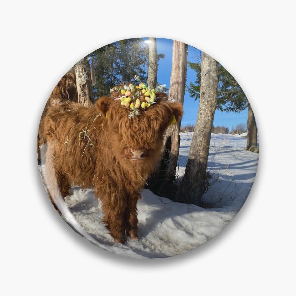 Artikelvorschau, Scottish Highland Cattle Calf Easter 4375 entworfen und verkauft von SaarelaHighland.