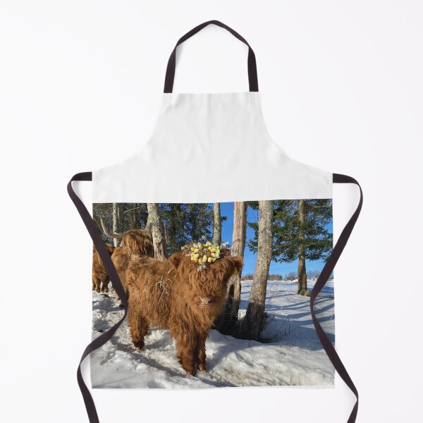 Aperçu de l'œuvre Scottish Highland Cattle Calf Easter 4375 créée et vendue par SaarelaHighland.
