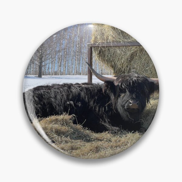 Artikelvorschau, Scottish Highland Cattle Cow 4376 entworfen und verkauft von SaarelaHighland.