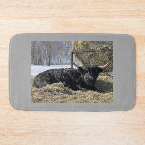 Item preview, Scottish Highland Cattle Cow 4376 designed and sold by SaarelaHighland.