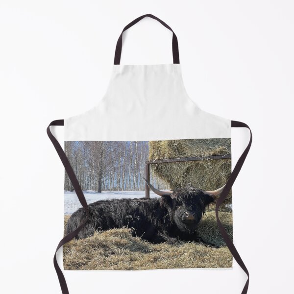 Aperçu de l'œuvre Scottish Highland Cattle Cow 4376 créée et vendue par SaarelaHighland.