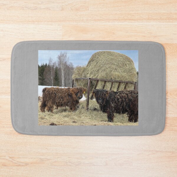 Item preview, Scottish Highland Cattle Calves 4377 designed and sold by SaarelaHighland.
