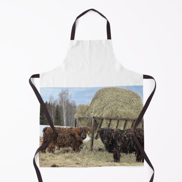 Item preview, Scottish Highland Cattle Calves 4377 designed and sold by SaarelaHighland.