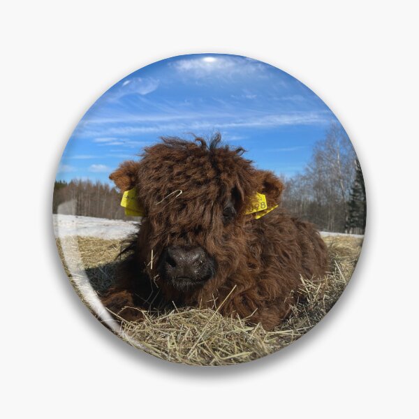 Item preview, Scottish Highland Cattle Calf 4378 designed and sold by SaarelaHighland.