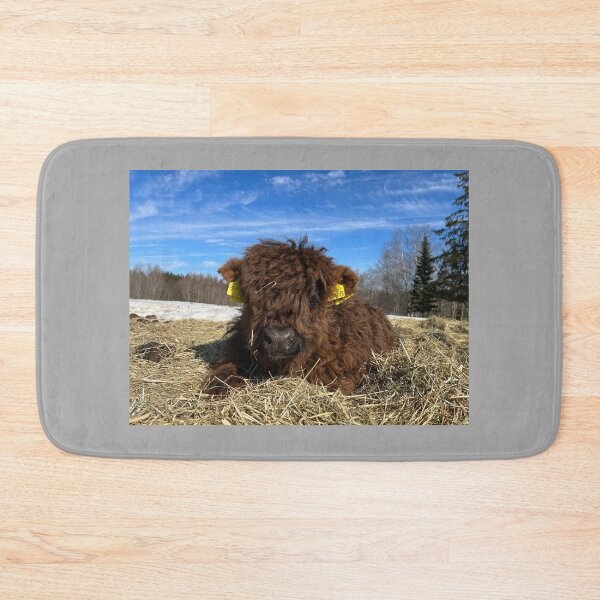 Item preview, Scottish Highland Cattle Calf 4378 designed and sold by SaarelaHighland.