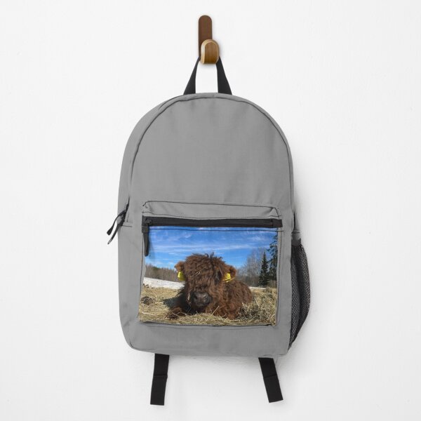 Item preview, Scottish Highland Cattle Calf 4378 designed and sold by SaarelaHighland.
