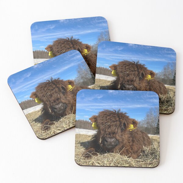 Item preview, Scottish Highland Cattle Calf 4378 designed and sold by SaarelaHighland.