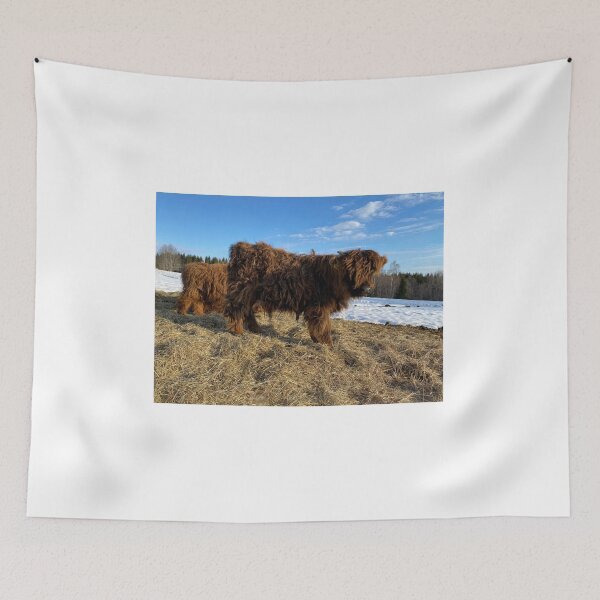 Item preview, Scottish Highland Cattle Calf 4380 designed and sold by SaarelaHighland.