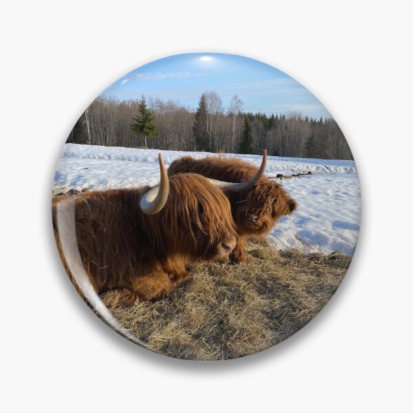 Item preview, Scottish Highland Cattle Cow and calf 4381 designed and sold by SaarelaHighland.