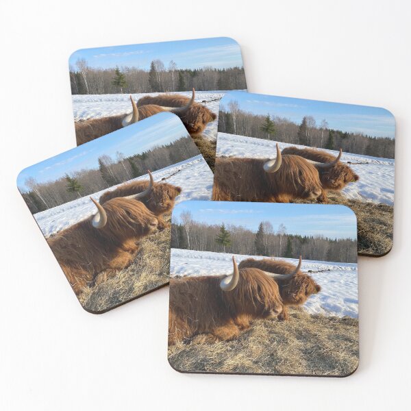 Item preview, Scottish Highland Cattle Cow and calf 4381 designed and sold by SaarelaHighland.