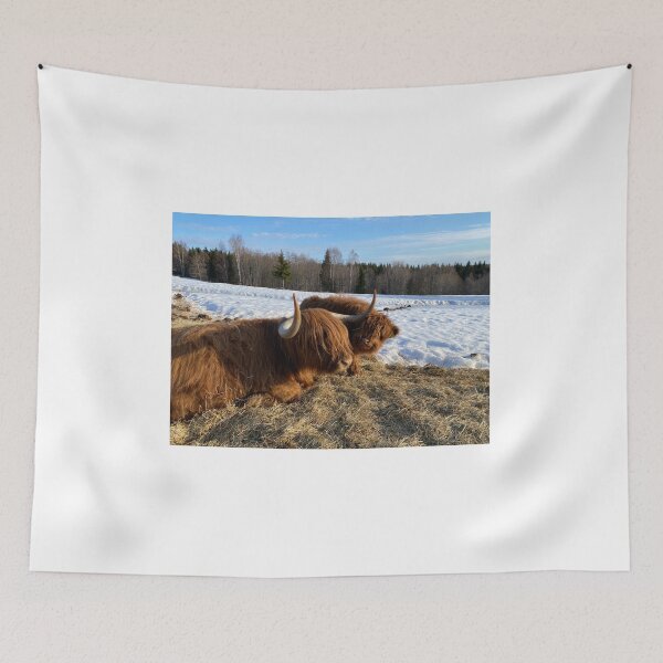 Item preview, Scottish Highland Cattle Cow and calf 4381 designed and sold by SaarelaHighland.