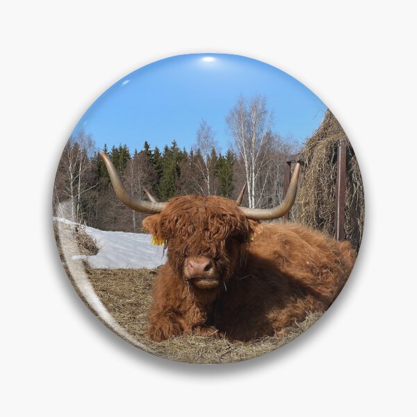 Artikelvorschau, Scottish Highland Cattle Cow 4383 entworfen und verkauft von SaarelaHighland.