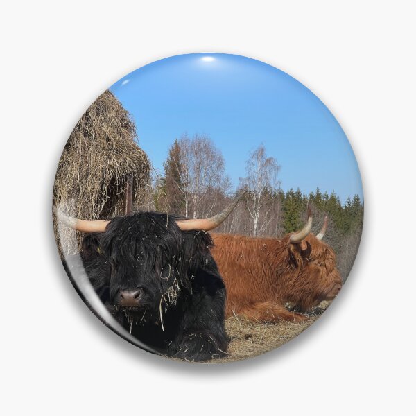 Artikelvorschau, Scottish Highland Cattle Cows 4384 entworfen und verkauft von SaarelaHighland.