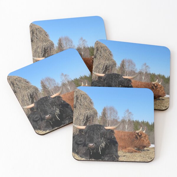 Item preview, Scottish Highland Cattle Cows 4384 designed and sold by SaarelaHighland.