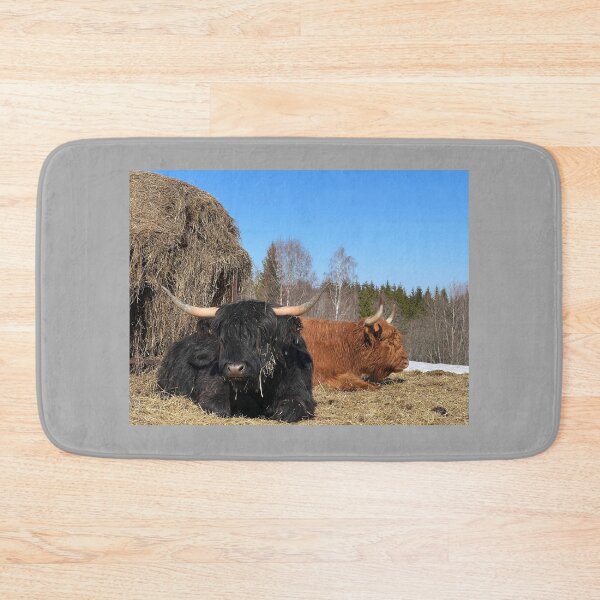 Item preview, Scottish Highland Cattle Cows 4384 designed and sold by SaarelaHighland.
