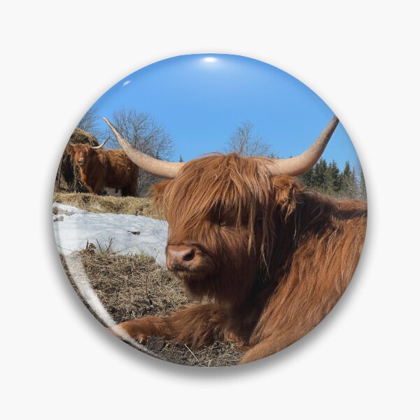 Artikelvorschau, Scottish Highland Cattle Cow 4385 entworfen und verkauft von SaarelaHighland.