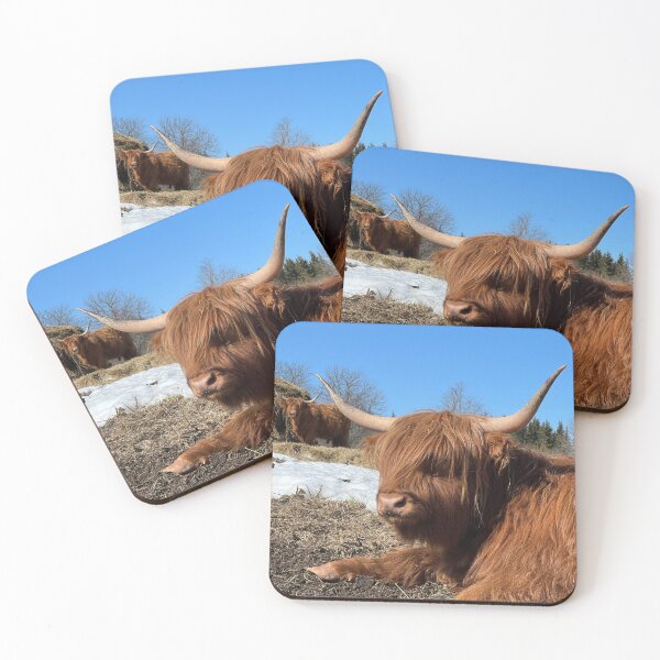 Artikelvorschau, Scottish Highland Cattle Cow 4385 entworfen und verkauft von SaarelaHighland.