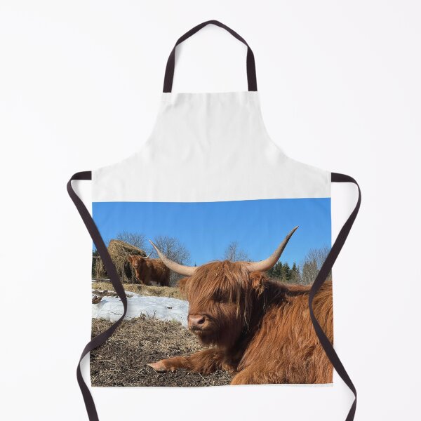Aperçu de l'œuvre Scottish Highland Cattle Cow 4385 créée et vendue par SaarelaHighland.