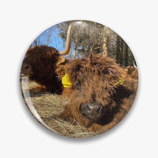 Artikelvorschau, Scottish Highland Cattle Calf 4386 entworfen und verkauft von SaarelaHighland.