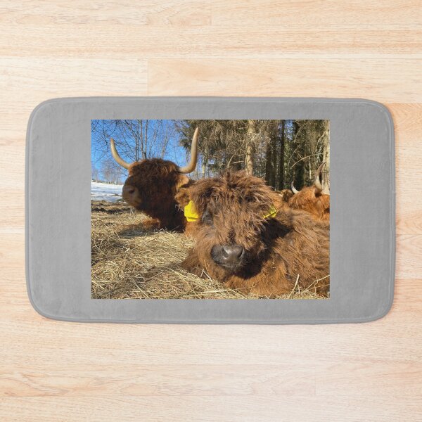 Item preview, Scottish Highland Cattle Calf 4386 designed and sold by SaarelaHighland.