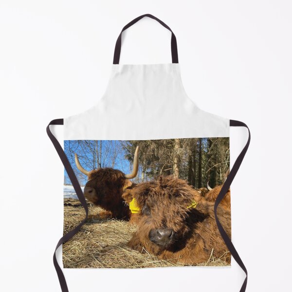 Aperçu de l'œuvre Scottish Highland Cattle Calf 4386 créée et vendue par SaarelaHighland.