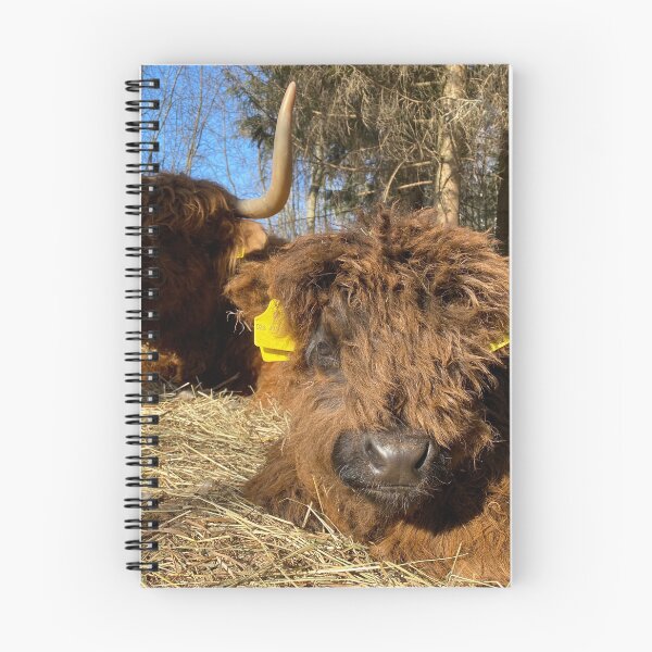 Item preview, Scottish Highland Cattle Calf 4386 designed and sold by SaarelaHighland.