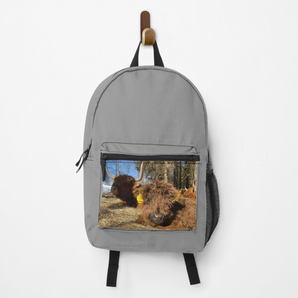 Item preview, Scottish Highland Cattle Calf 4386 designed and sold by SaarelaHighland.
