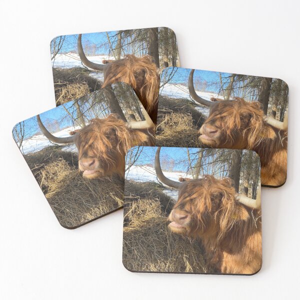 Item preview, Scottish Highland Cattle Cow 4387 designed and sold by SaarelaHighland.