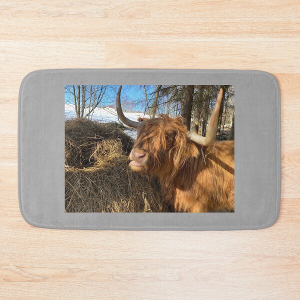 Item preview, Scottish Highland Cattle Cow 4387 designed and sold by SaarelaHighland.