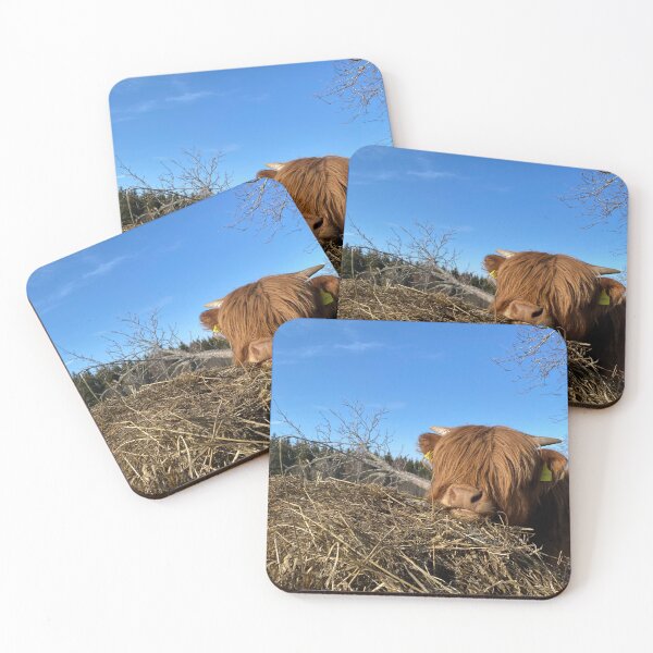 Item preview, Scottish Highland Cattle Calf 4388 designed and sold by SaarelaHighland.