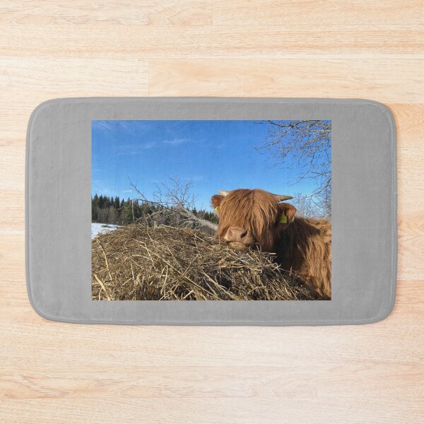 Item preview, Scottish Highland Cattle Calf 4388 designed and sold by SaarelaHighland.