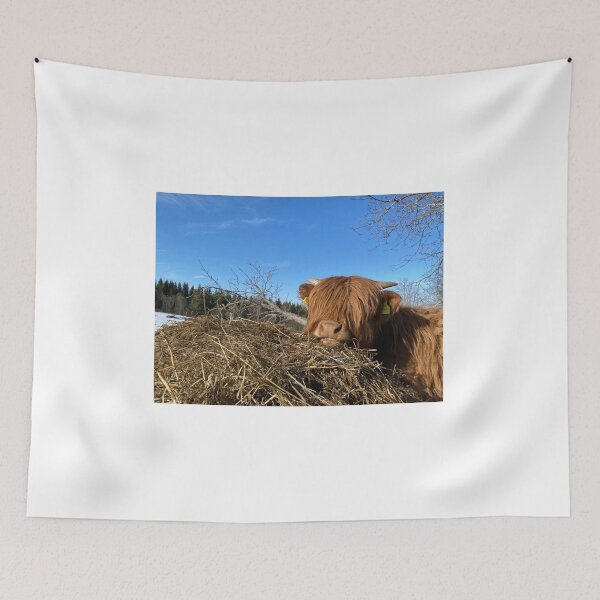 Item preview, Scottish Highland Cattle Calf 4388 designed and sold by SaarelaHighland.