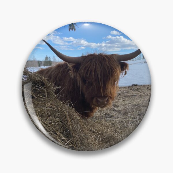 Artikelvorschau, Scottish Highland Cattle Cow 4390 entworfen und verkauft von SaarelaHighland.