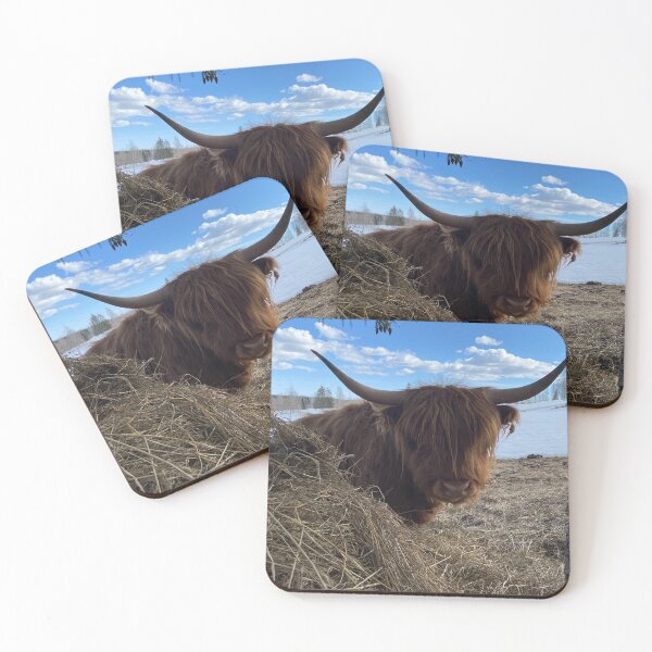 Item preview, Scottish Highland Cattle Cow 4390 designed and sold by SaarelaHighland.