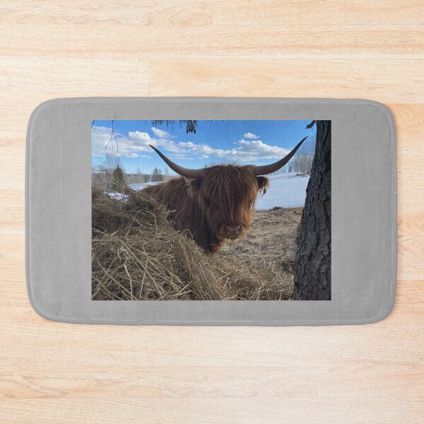 Item preview, Scottish Highland Cattle Cow 4390 designed and sold by SaarelaHighland.