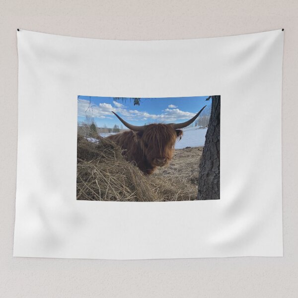 Item preview, Scottish Highland Cattle Cow 4390 designed and sold by SaarelaHighland.