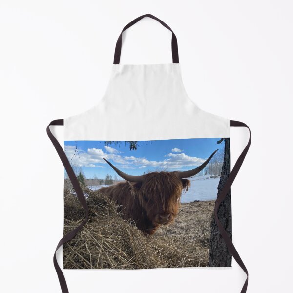 Aperçu de l'œuvre Scottish Highland Cattle Cow 4390 créée et vendue par SaarelaHighland.